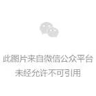 陈洪杰：复习课这样上，更有“含金量”！